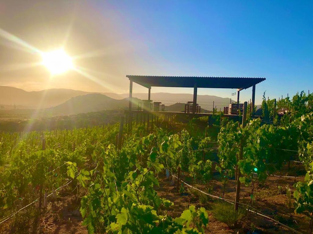 Siempre Valle Hotel Boutique Valle de Guadalupe Kültér fotó