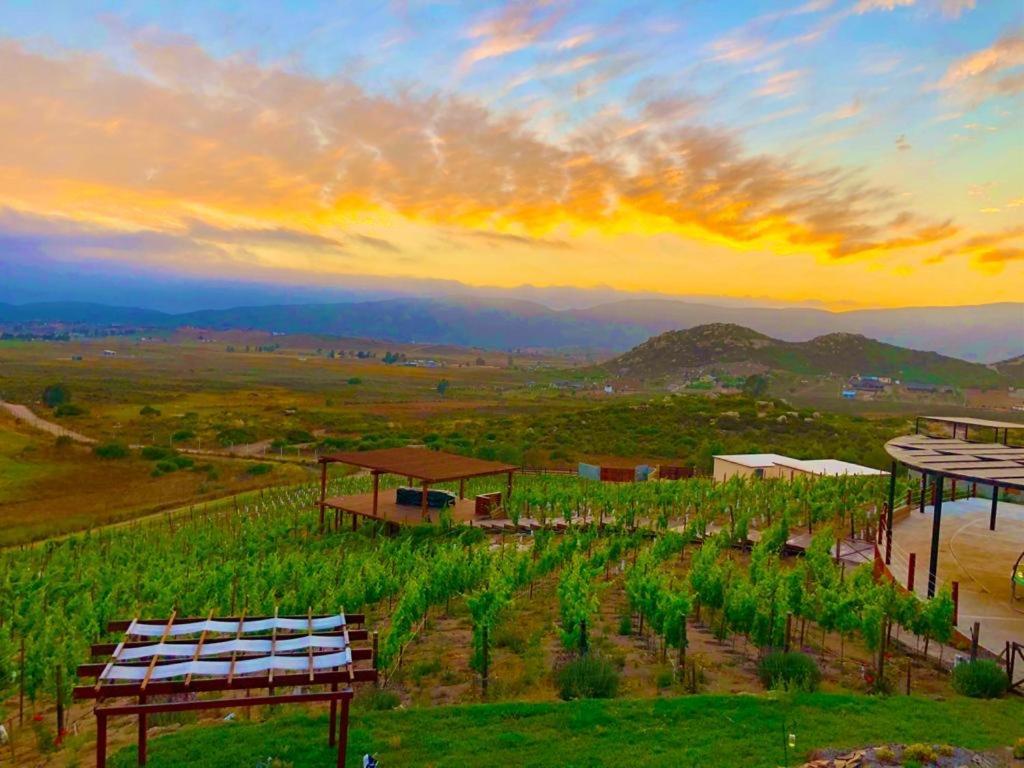 Siempre Valle Hotel Boutique Valle de Guadalupe Kültér fotó