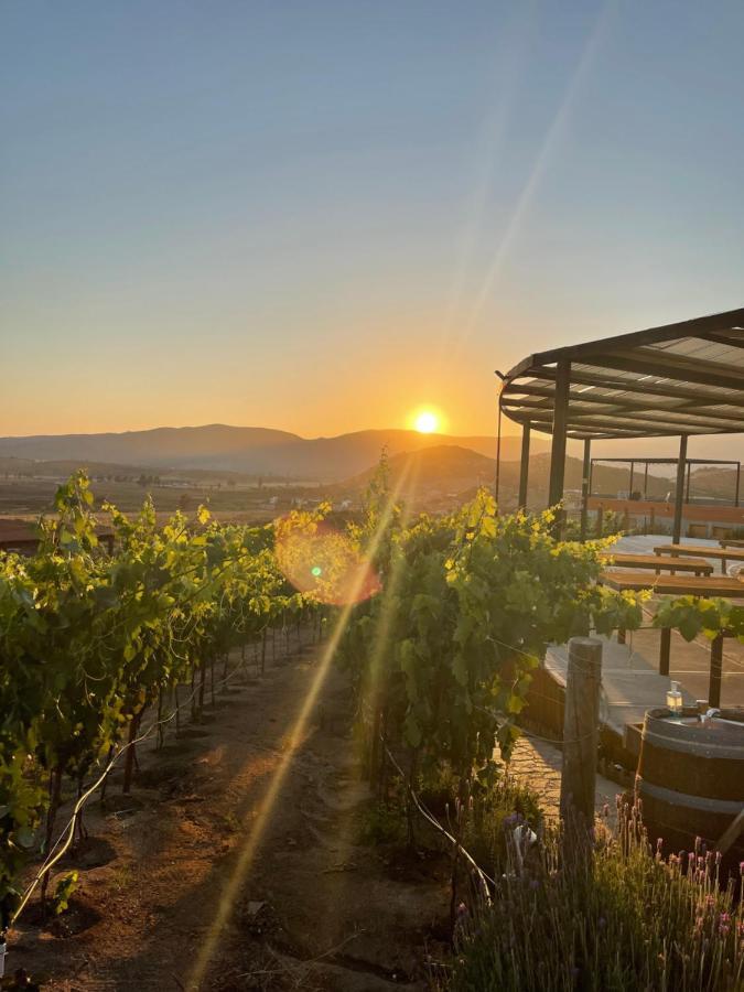 Siempre Valle Hotel Boutique Valle de Guadalupe Kültér fotó