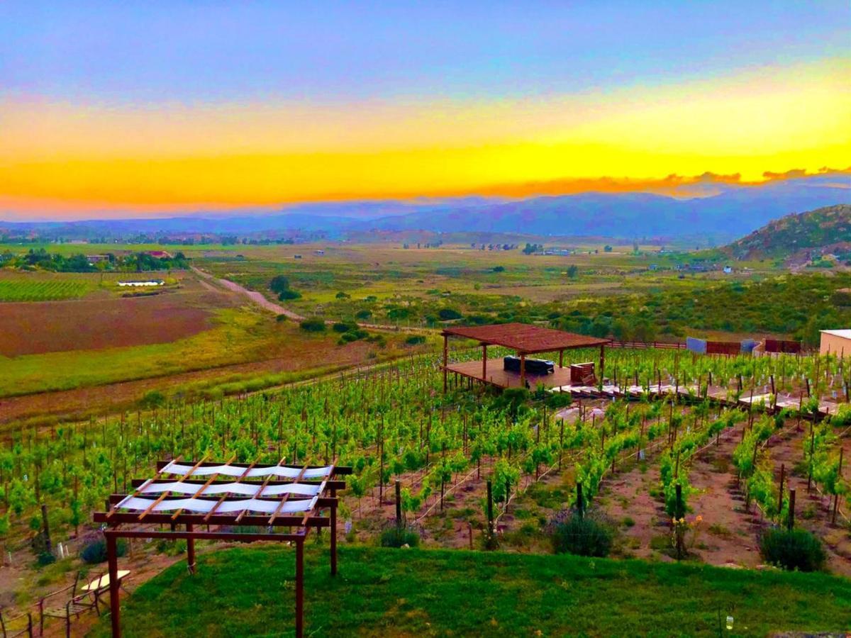 Siempre Valle Hotel Boutique Valle de Guadalupe Kültér fotó