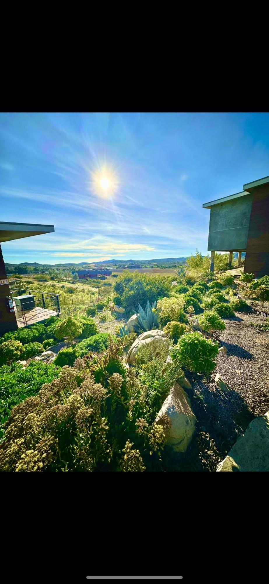 Siempre Valle Hotel Boutique Valle de Guadalupe Kültér fotó